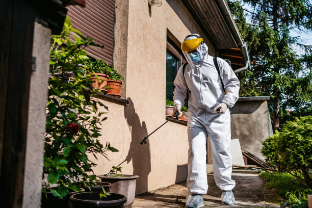 Best Pest Removal Services  in Northlake, SC